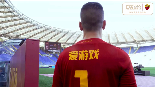 維迪奇是一